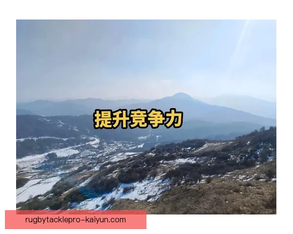 博阿整体实力逐步提升，竞争力增强受到众多关注